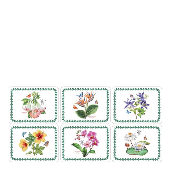 Pimpernel Set of 6 Exotic Botanic Garden Placemats