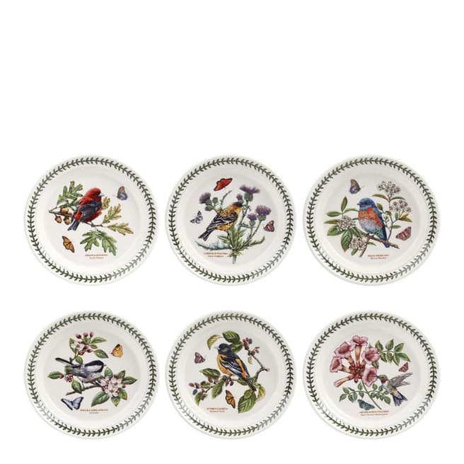 Portmeirion Set of 6 Botanic Garden Birds Plates, 21.5cm
