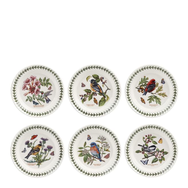 Portmeirion Set of 6 Botanic Garden Birds Plates, 18.5cm