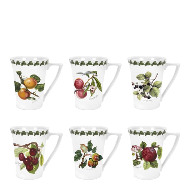 Portmeirion Set of 6 Pomona Conical Mugs, 10oz