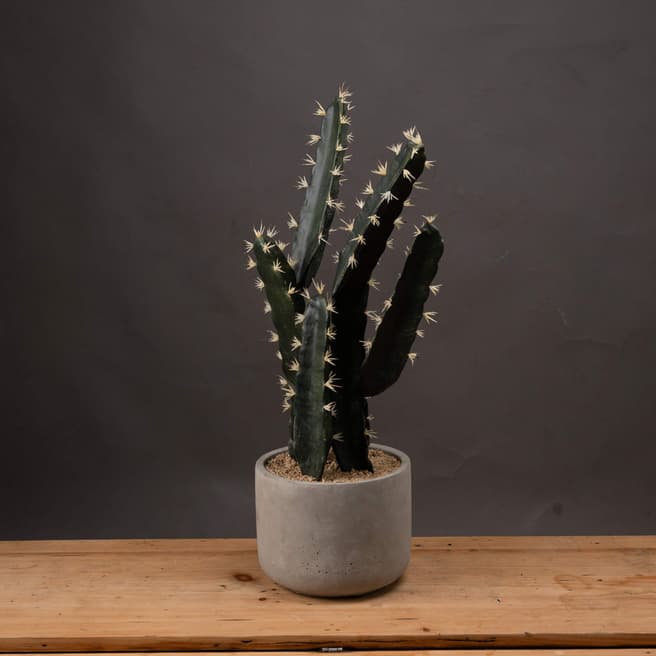 Hill Interiors Large Cactus Potted Faux Plant