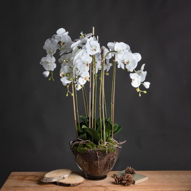 Hill Interiors Faux Large White Orchid In Glass Pot