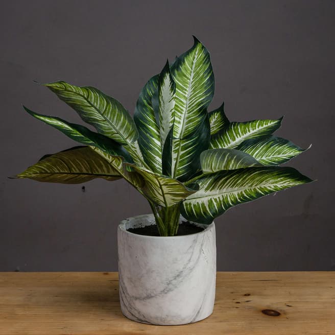 Hill Interiors Variegated Leaf Dieffenbachia Potted Faux Plant