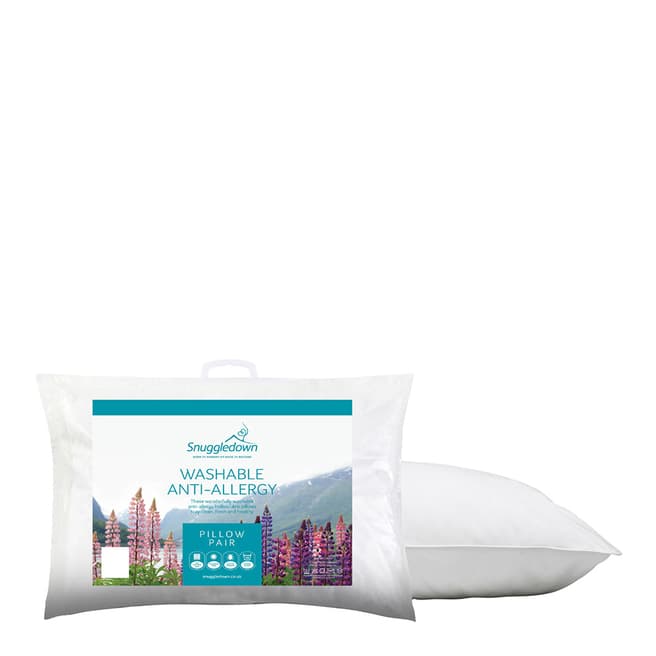 Snuggledown Washable Anti-Allergy Pair of Pillows