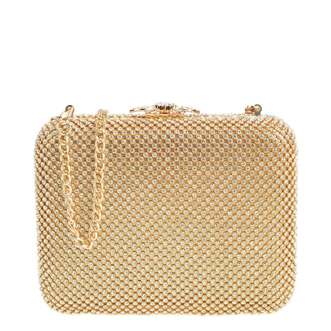 Carla Ferreri Gold Crossbody Bag/Clutch