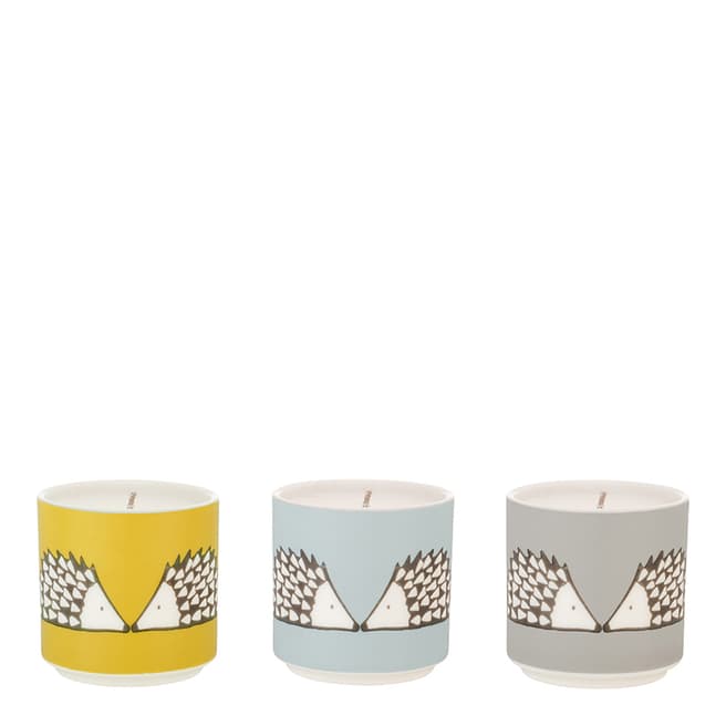 Scion Set of 3 Spike Candles