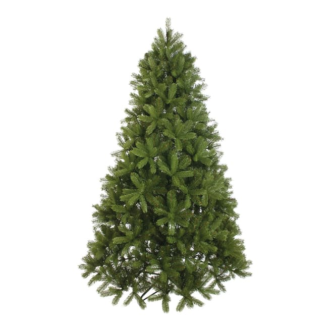 Festive Mayberry Spruce, 150cm