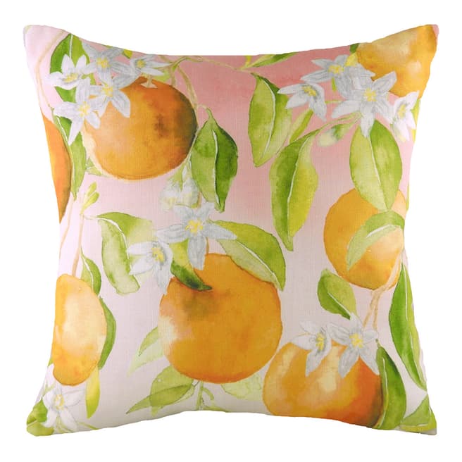 Evans Lichfield Oranges Filled Cushion, 43x43cm