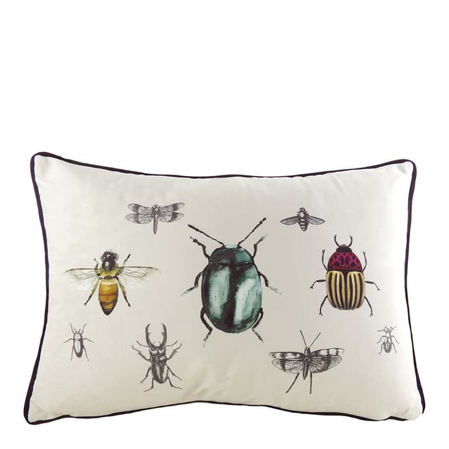 Evans Lichfield Eden Insects 35 x 50cm Cushion