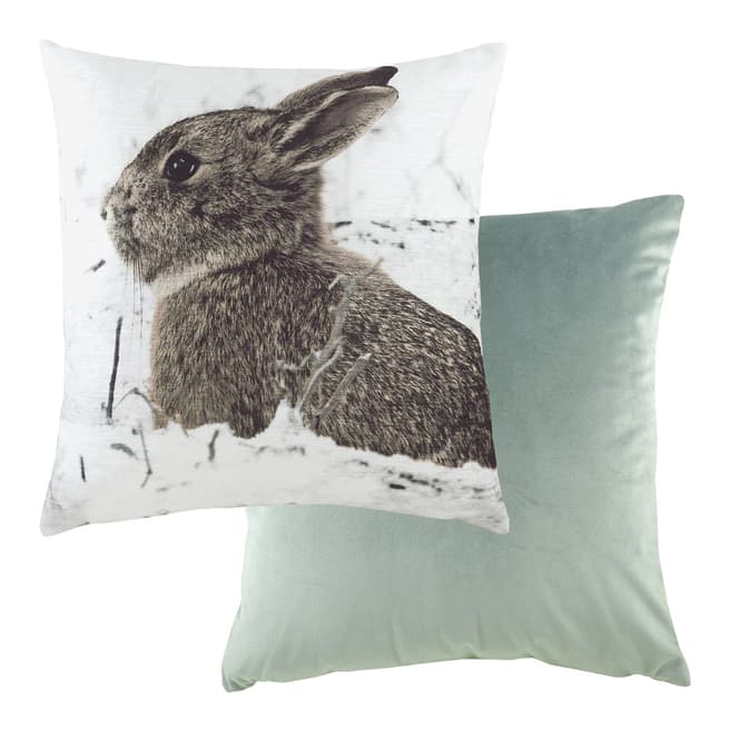 Evans Lichfield Photo Hare Filled Cushion, 43x43cm
