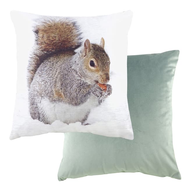 Evans Lichfield Photo Squirrel Filled Cushion, 43x43cm