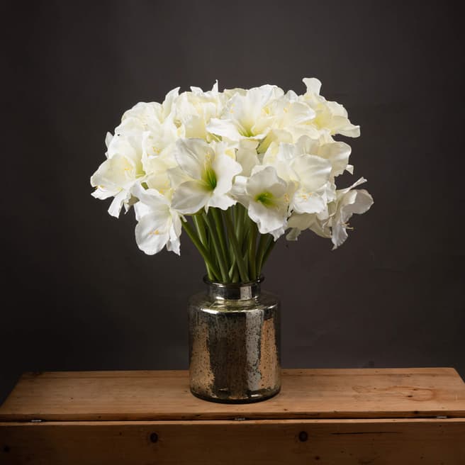 Hill Interiors Classic White Amaryllis Flower