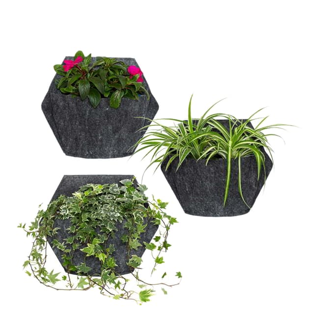 CitySens Self-watering Wall Planter – Pack 3 Black Planters with Gray Pocket