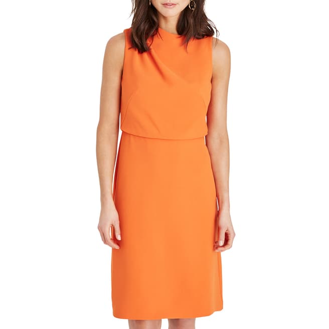 Damsel In A Dress Orange Jovie Shift Dress