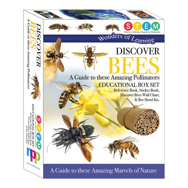 Wonders of Learning Bees Box Set