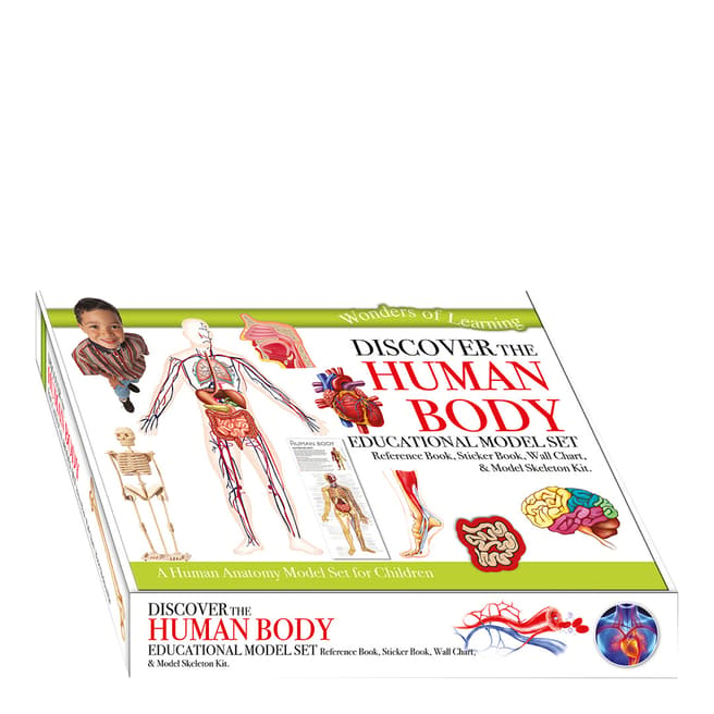 Wonders of Learning Human Body Model Set