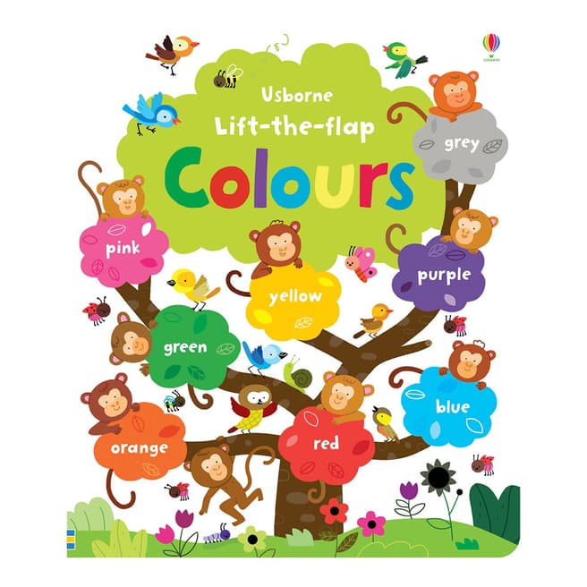 Usborne Books Lift The Flap Colours