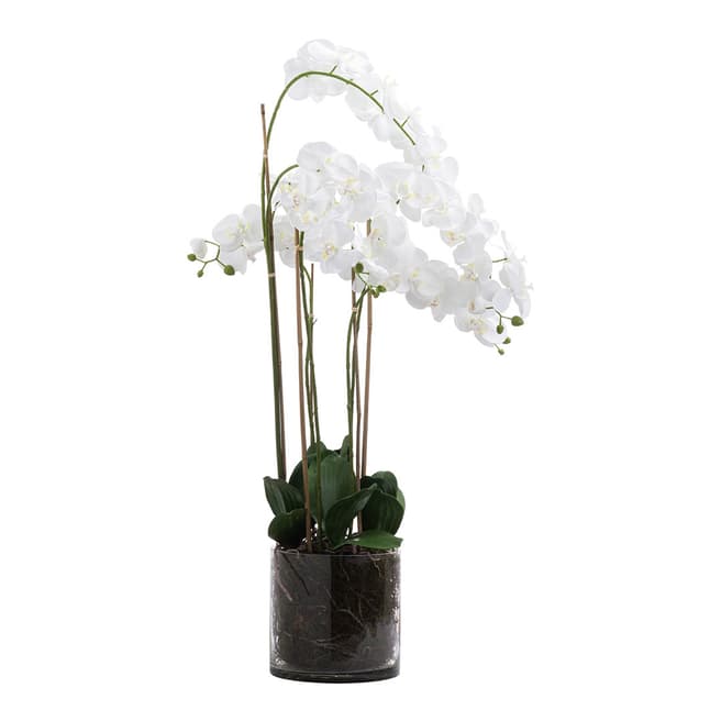 Hill Interiors Large White Tall Orchid In Glass Pot
