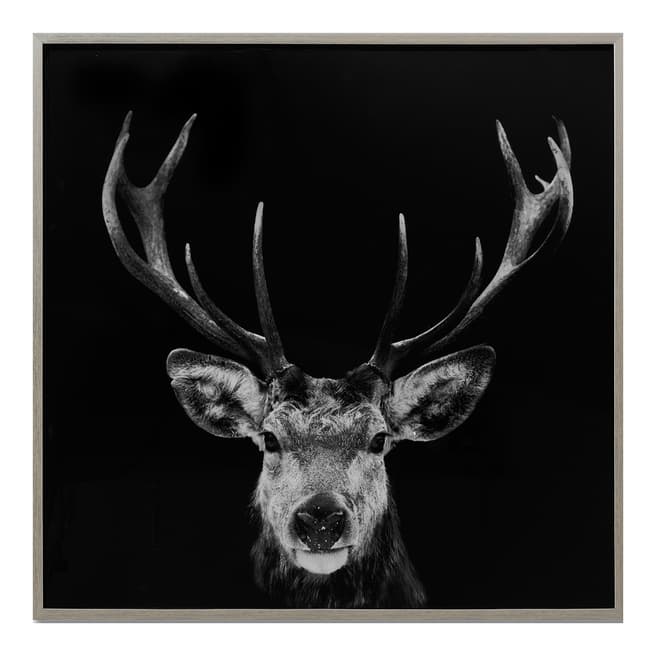 Hill Interiors Dark Stag Glass Image with Silver Frame