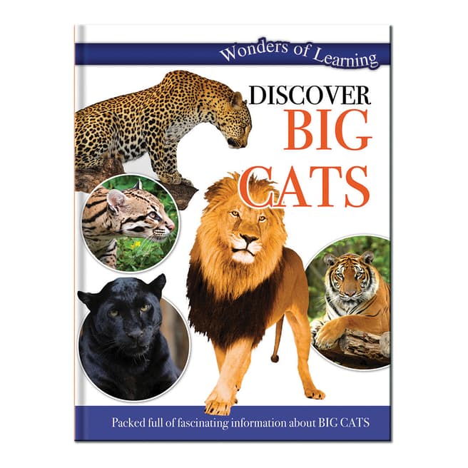 Wonders of Learning Discover Big Cats