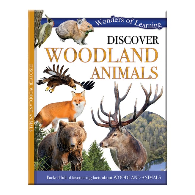 Wonders of Learning Discover Woodland Animals