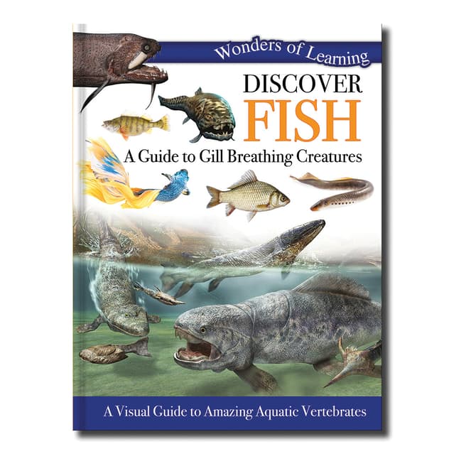 Wonders of Learning Discover Fish