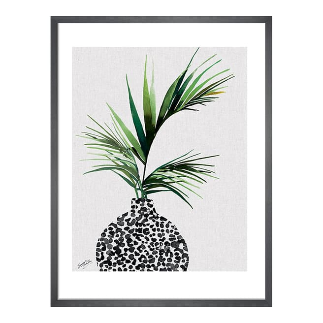 Summer Thornton Areca Palm Plant 40x50cm Framed Print