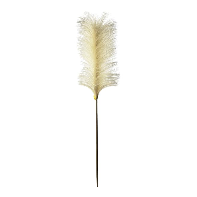 Gallery Living Goma Soft Feather Stem Ivory 5 Pack, 72cm