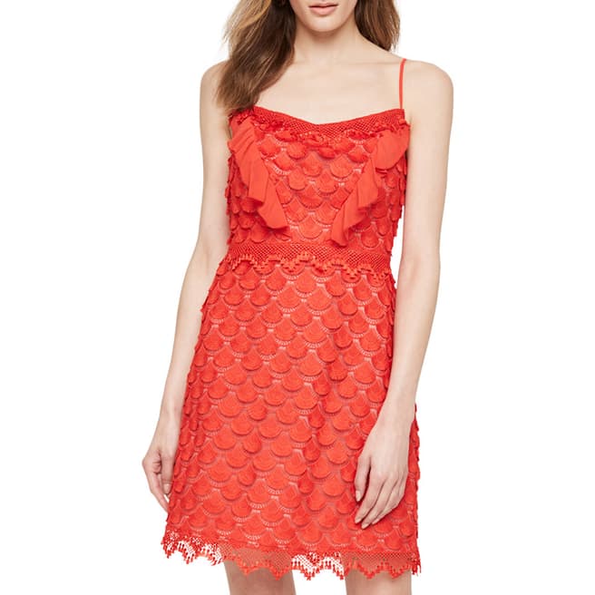 Damsel In A Dress Red Breana Lace Dress