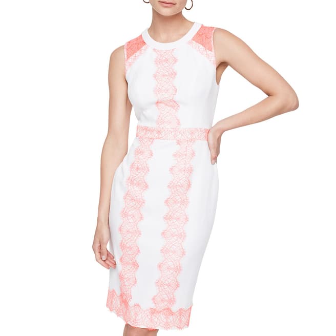 Damsel In A Dress Ivory/Pink Akaria Lace Dress