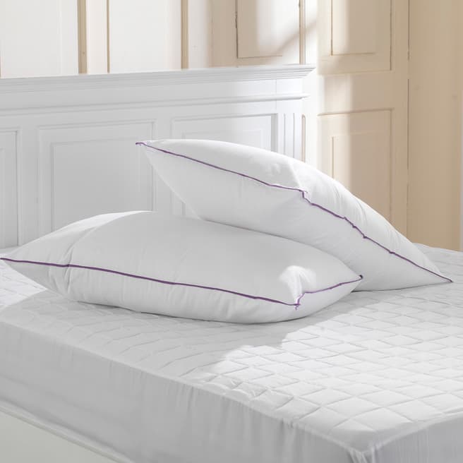 Original Sleep Company Lavender Pillow