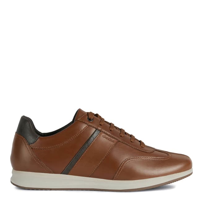 Geox Brown Leather Avery Sneakers