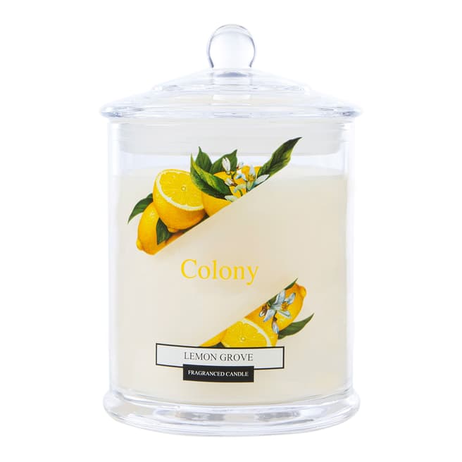 Wax Lyrical Large Candle Lemon Grove