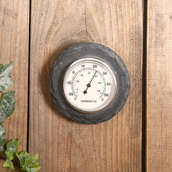Fallen Fruits Round Slate Thermometer