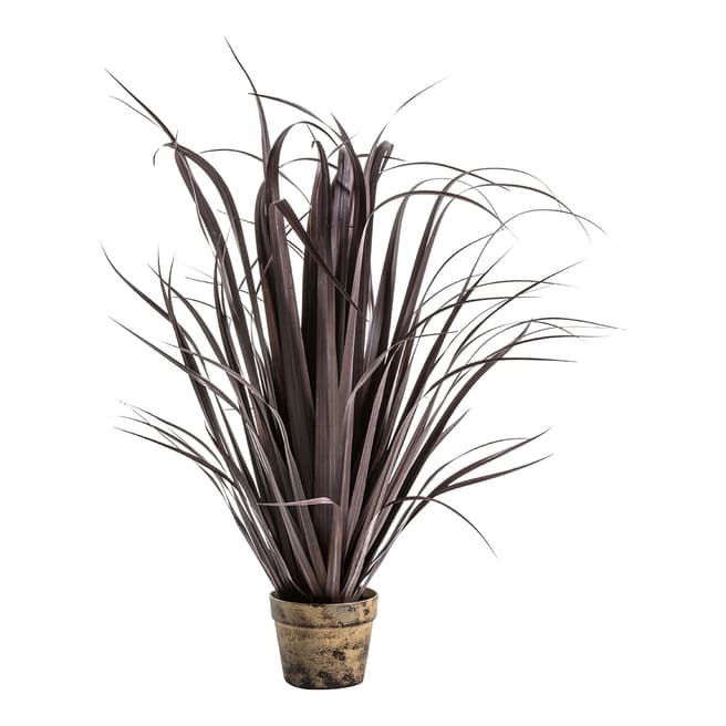 Gallery Living Potted Dracaena Autumn Red W60xD60xH85cm
