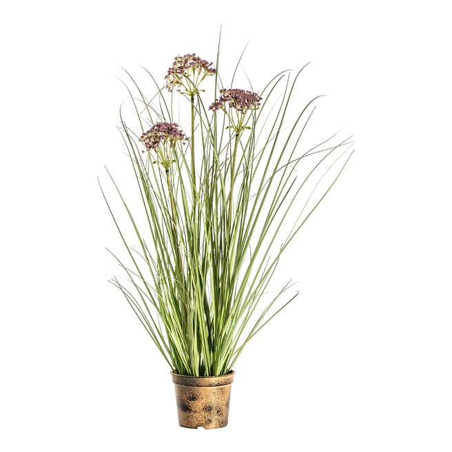 Gallery Living Potted Grass with Heads 20 x 20 x 55cm, Green /Russet