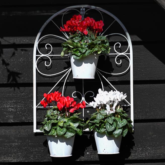 Creekwood Arched Wall Planter Set of 3