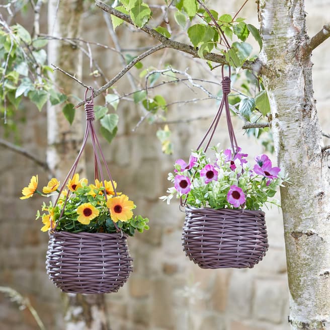 Smart Garden 2 Piece Meadow Basket Bouquet