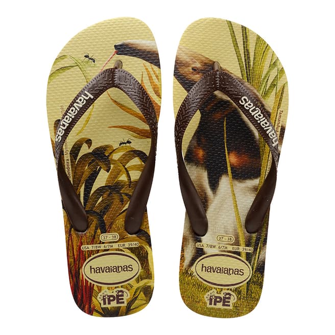 Havaianas Sand Grey/Dark Brown Ipe Flip Flops