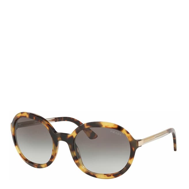 Prada Women's Brown/Black Prada Sunglasses 56mm