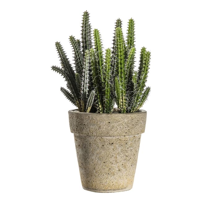 Gallery Living Cactus Cereus w/ Cement Pot Small, 14x14x27cm
