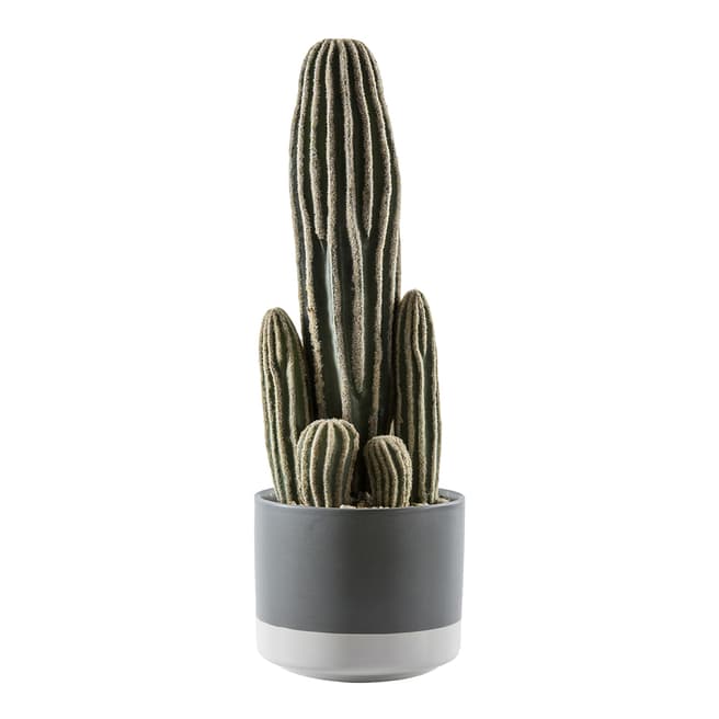 Gallery Living Cactus San Pedro Ceramic Pot 13x13x36cm