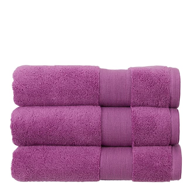 Living by Christy Carnival Pair of Hand Towels, Violet