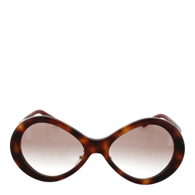Chloe Women's Havana/Gradient Brown Chloe Sunglasses 55mm