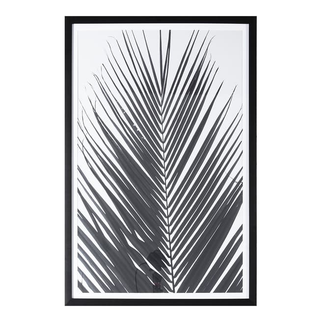 Gallery Living Monochrome Palm 91x61cm Framed Art