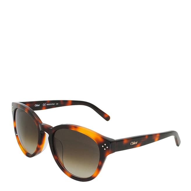 Chloe Women's Tortoiseshell Sunglasses 55mm