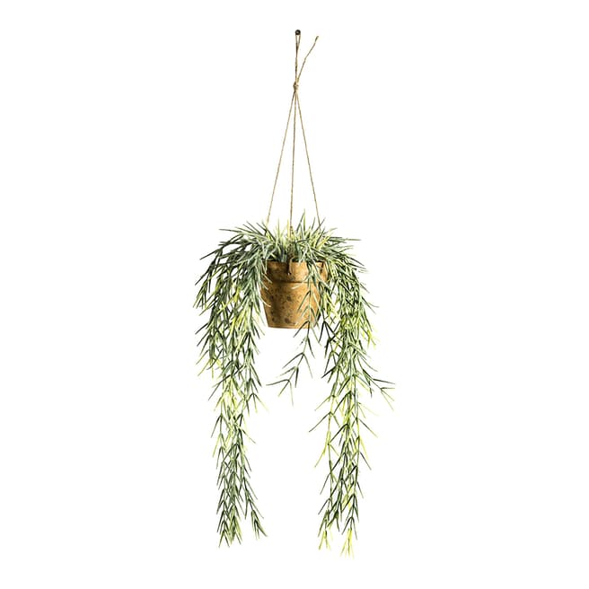 Gallery Living Hanging Willow w/ Earthenware Style Pot