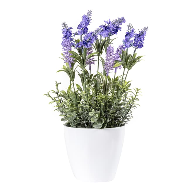 Gallery Living Lavender Heritage Small
