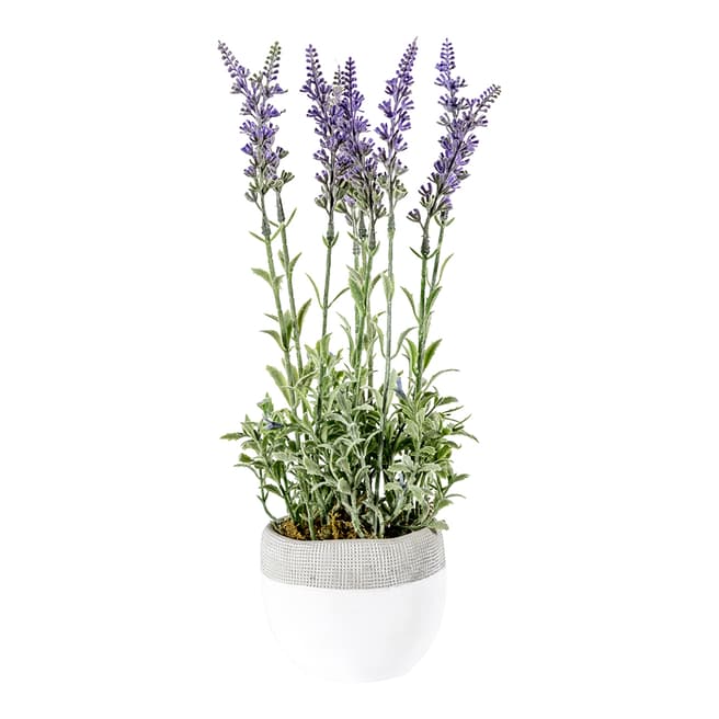 Gallery Living Lavender Lilac w/White Pot Large