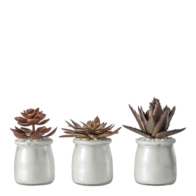 Gallery Living Set of 3 Potted Succulent Metallic